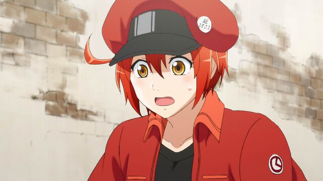 第7話「がん細胞」 | はたらく細胞 | MBS動画イズム