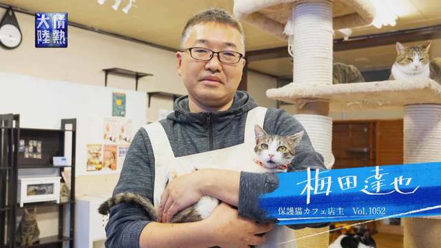 情熱大陸 1052 保護猫カフェ店主 梅田達也 Mbs動画イズム