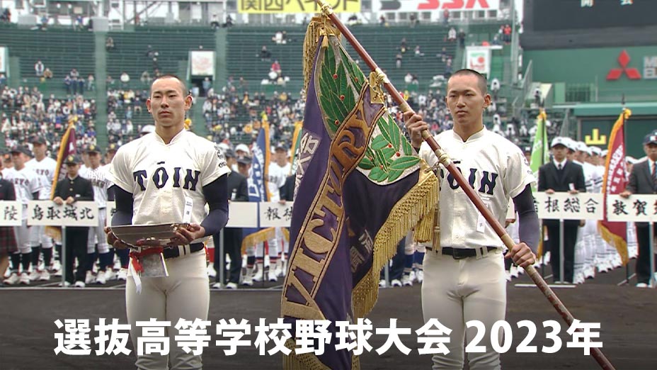 第94回選抜高校野球大会 3/20(日)中央指定席 4枚 野球